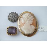 A carved cameo shell brooch in gold plate and two paste set brooches