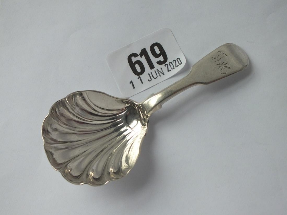 Early Victorian caddy spoon, shell bowl - 1848 by JSAS