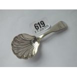 Early Victorian caddy spoon, shell bowl - 1848 by JSAS