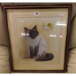 MARK CHESTER (b1960) ''BEAUTIFUL BIRMAN CAT'' - OIL PAINTING - SIGNED & DATED 1982 - 33 X 28CMS