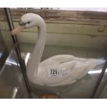 LARGE LLADRO SWAN