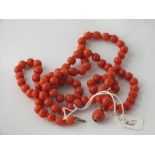 STRING OF RED CORAL BEADS STRUNG ONTO A GOLD & CORAL CLASP - 59.5gms