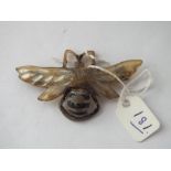 Antique horn insect brooch -2.5" wide