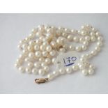 Cultured pearls on 9ct clasp - 27" long