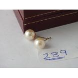 Pair of boxed pearl ear studs in 9ct