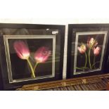SET OF 4 CONTEMPORARY F/G FLORAL PHOTO'S