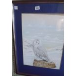 F/G PAINTING OF A SNOW OWL