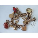 A VINTAGE CHARM BRACELET IN 9CT (12+ CHARMS) - 70GMS