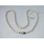 A pearl necklace