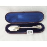 A Victorian lily pattern christening spoon in fitted case - London 1850 by GA - 61gms