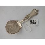 Another Scottish caddy spoon also with shell bowl - Glasgow 1851 by WCS