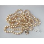 Very long pearl necklace with 14ct gold clasp