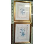 SET OF 4 GILT FRAMES WITH FLOWER PICTURES WITHIN