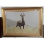 ORIGINAL OIL PAINTING OF A DEER IN THE SNOW BY KARL TAYLOR