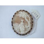 An antique shell cameo brooch in gold mount - 10.9gms Inc.