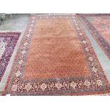 A pink ground carpet with narrow border - 10' x 6'8"