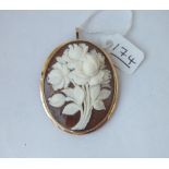 A mounted carved cameo brooch in 14ct gold - 12.7gms