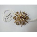 A Victorian ruby & pearl star brooch in 9ct - 3.8gms