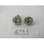 A matching pair of blue stone cluster earrings