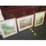 3 LARGE F/G MOUNTED WOODLAND GARDEN SCENES