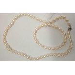PEARL NECKLACE WITH SILVER CLASP & MATCHING PEARL BRACELET