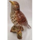 BESWICK THRUSH