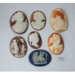 A collection of 6 antique unmarked carved shell cameos & 1 Wedgwood plaque