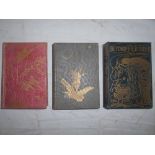 LANG, A. The Grey Fairy Book 1st.ed.1900, London, plus The Pink Fairy Book New Imp. 1901, London,