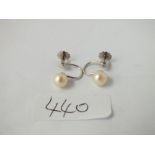 A pair of pearl screw earrings in 9ct white gold