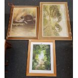 AN OTTER PICTURE, A RIVER SCENE AND A WOODLAND SCENE