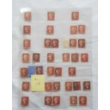 1858 SEL. of 1d red plate Nos F.USED from 94-133 - duplication on 3 sheets - all fine