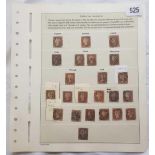 1841 penny red inperfs with selection of black MXs from town CANCS on page (22)