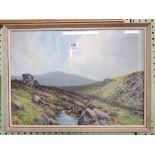 DARTMOOR LANDSCAPE SCENE BY R.D SHERRIN