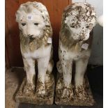 STONE LIONS