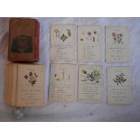 CARD GAME The Science of Botany according to the System of Linnaeus By Mad.lle de Cely J.Wallis,