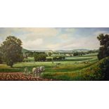 Donald AYRES 1975 - Landscape near Llandovery - 18" x 36" - signed and dated