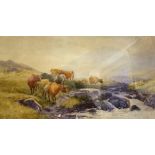 Tom ROWDEN 1901 - Cattle by a moorland stream - 12" x 21" - signed and dated