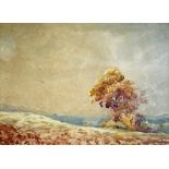 Arthur ASPINALL - An Autumn Landscape - 10.5" x 4"