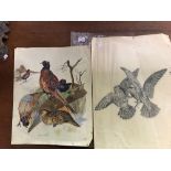 2 UNFRAMED ITEMS, WATERCOLOUR OF PHEASANTS IN A SNOWY LANDSCAPE AND A PENCIL DRAWING OF TWO CUCKOOS,