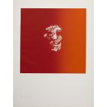 Louis le Brocquy HRHA (1916-2012) HEAD ON A RED GROUND Intaglio print on paper; (no. 56 from an