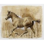 Peter Curling (b.1955) RUNNING HORSE watercolour and gouache signed upper right 13 by 16in. (33 by