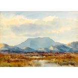 Late 19th/Early 20th Century Irish School LANDSCAPE WITH MOUNTAIN IN THE DISTANCE watercolour 5 by