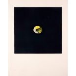 Louis le Brocquy HRHA (1916-2012) LEMON, 1974 aquatint; (no. 60 from an edition of 75) signed and