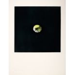 Louis le Brocquy HRHA (1916-2012) LEMON, 1974 aquatint; (no. 59 from an edition of 75) signed and