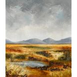 Carmel Mooney BOG LAKE, WEST OF IRELAND oil on canvas signed lower left 12 by 10in. (30.5 by 25.4cm)