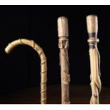 Three Rustic Folk-Art Walking Sticks from the Auvergne Region.