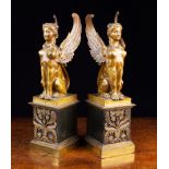 A Pair of French Empire Gold Patinated Bronze Figures of Winged Sphinxes sat upon square pedestals