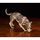 A Vienna Cold Painted Bronze Dog 9" (23 cm) in length.