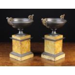 A Pair of 19th Century Cast Iron Bronze Patinated Urns having gold patinated scroll handles adorned