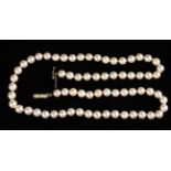 A Cultured Pearl Necklace with a 9ct gold clasp stamped BLJ, 19" (48.5 cm) in length.